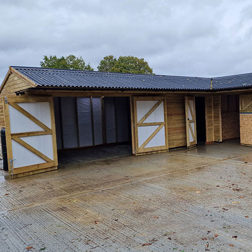 Stable Complex Ashford